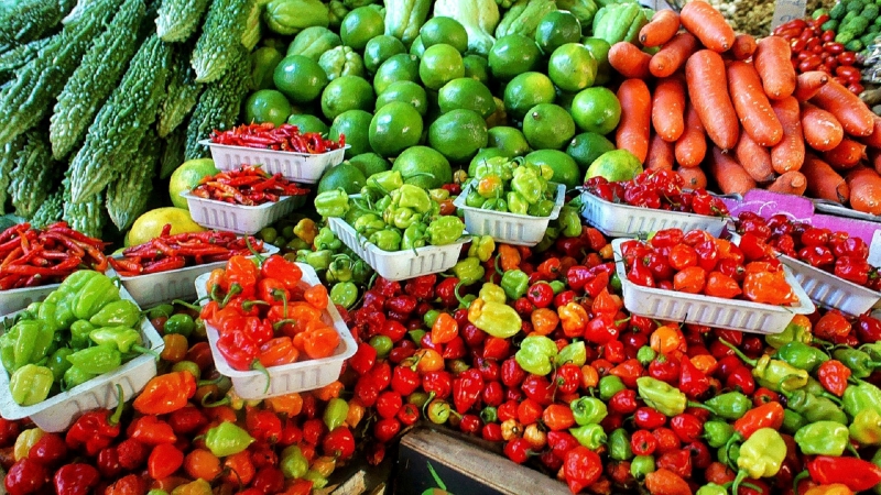 primeur-ST ANTONIN-min_farmers-market-1329008